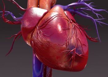 لقد نجحت طريقة علاج أورن زريف في مساعدة العديد من المرضى الذين عانوا من مشاكل في الرقبة وهيكل الجسم  تعانون من مشاكل في الرقبة وهيكل الجسم؟  لاداعي لليأس.