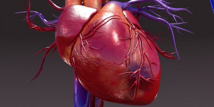 لقد نجحت طريقة علاج أورن زريف في مساعدة العديد من المرضى الذين عانوا من مشاكل في الرقبة وهيكل الجسم  تعانون من مشاكل في الرقبة وهيكل الجسم؟  لاداعي لليأس.