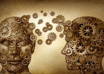 MS everything that is important to know