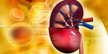 لقد نجحت طريقة علاج أورن زريف في مساعدة العديد من المرضى الذين عانوا من مشاكل في الرقبة وهيكل الجسم  تعانون من مشاكل في الرقبة وهيكل الجسم؟  لاداعي لليأس.