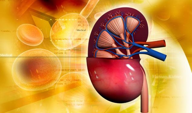 لقد نجحت طريقة علاج أورن زريف في مساعدة العديد من المرضى الذين عانوا من مشاكل في الرقبة وهيكل الجسم تعانون من مشاكل في الرقبة وهيكل الجسم؟ لاداعي لليأس.
