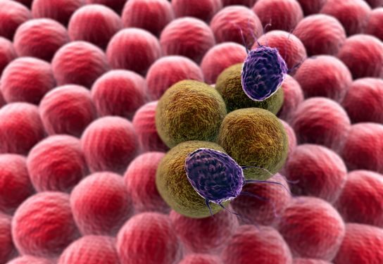 لقد نجحت طريقة علاج أورن زريف في مساعدة العديد من المرضى الذين عانوا من مشاكل في الرقبة وهيكل الجسم تعانون من مشاكل في الرقبة وهيكل الجسم؟ لاداعي لليأس.