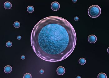 The most common symptom of kidney cancer is blood in the urine – Oren Zarif – Cancer