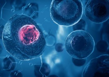 How Kidney Cancer Symptoms Feel Like – Oren Zarif – Cancer