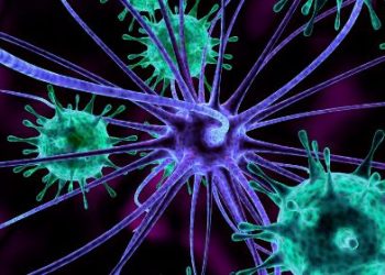 Prostate cancer is a dangerous disease – Oren Zarif – Cancer