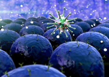 The Various Kidney Cancer Symptoms You Should Notice – Oren Zarif – Cancer